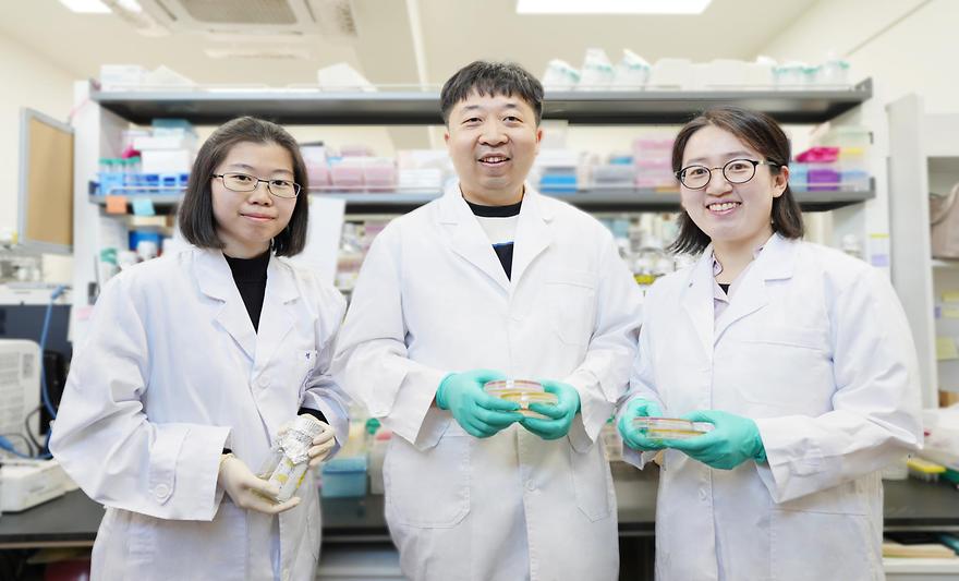 이창한 교수팀, 항생제 내성균 제어 新 유전자 표적 규명