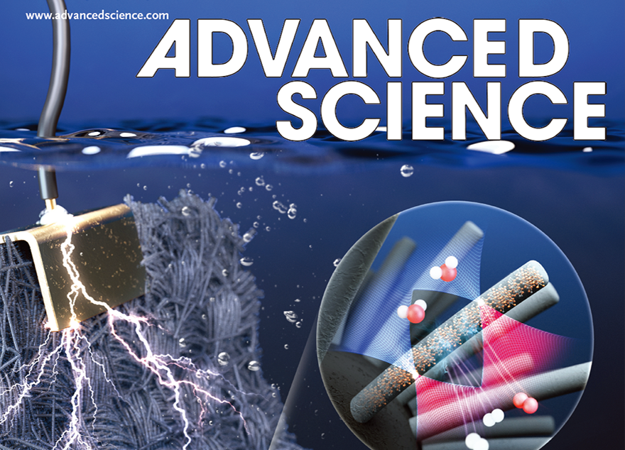 유영동 교수팀, 차세대 에너지 변환·저장용 핵심 촉매 구조 개발
